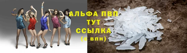 молекула духа Алексин