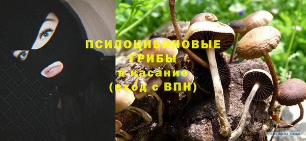 Альфа ПВП Алзамай