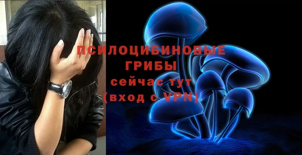 Альфа ПВП Алзамай